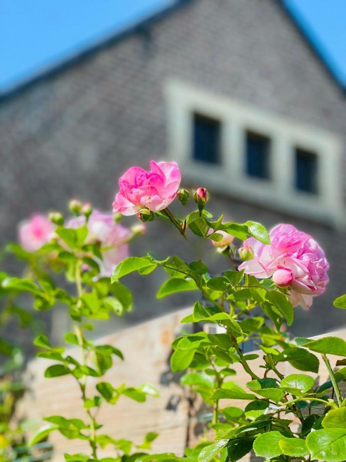 Bed and Breakfast A little Peace&Quiet Wahlwiller Exterior foto